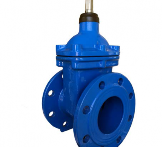 Blue valve with flanged ends and a central operating mechanism.